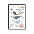 Picture of Sea Life _GroupedProduct_Rectangle_Portrait_Framed_Matted_