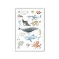 Picture of Sea Life _GroupedProduct_Rectangle_Portrait_Framed_Matted_