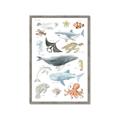 Picture of Sea Life _GroupedProduct_Rectangle_Portrait_Framed_Matted_