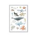 Picture of Sea Life _GroupedProduct_Rectangle_Portrait_Framed_Matted_