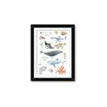 Picture of Sea Life _GroupedProduct_Rectangle_Portrait_Framed_Matted_