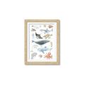 Picture of Sea Life _GroupedProduct_Rectangle_Portrait_Framed_Matted_