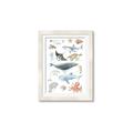 Picture of Sea Life _GroupedProduct_Rectangle_Portrait_Framed_Matted_