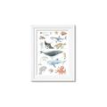 Picture of Sea Life _GroupedProduct_Rectangle_Portrait_Framed_Matted_