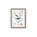 Picture of Sea Life _GroupedProduct_Rectangle_Portrait_Framed_Matted_