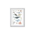 Picture of Sea Life _GroupedProduct_Rectangle_Portrait_Framed_Matted_