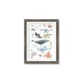 Picture of Sea Life _GroupedProduct_Rectangle_Portrait_Framed_Matted_