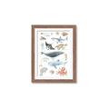Picture of Sea Life _GroupedProduct_Rectangle_Portrait_Framed_Matted_