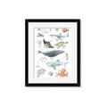 Picture of Sea Life _GroupedProduct_Rectangle_Portrait_Framed_Matted_