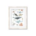Picture of Sea Life _GroupedProduct_Rectangle_Portrait_Framed_Matted_
