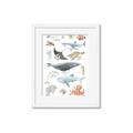 Picture of Sea Life _GroupedProduct_Rectangle_Portrait_Framed_Matted_