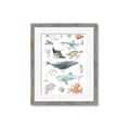 Picture of Sea Life _GroupedProduct_Rectangle_Portrait_Framed_Matted_
