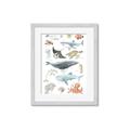 Picture of Sea Life _GroupedProduct_Rectangle_Portrait_Framed_Matted_