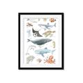 Picture of Sea Life _GroupedProduct_Rectangle_Portrait_Framed_Matted_