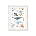 Picture of Sea Life _GroupedProduct_Rectangle_Portrait_Framed_Matted_