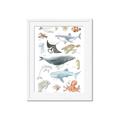 Picture of Sea Life _GroupedProduct_Rectangle_Portrait_Framed_Matted_