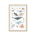Picture of Sea Life _GroupedProduct_Rectangle_Portrait_Framed_Matted_