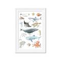 Picture of Sea Life _GroupedProduct_Rectangle_Portrait_Framed_Matted_