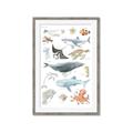 Picture of Sea Life _GroupedProduct_Rectangle_Portrait_Framed_Matted_