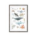 Picture of Sea Life _GroupedProduct_Rectangle_Portrait_Framed_Matted_