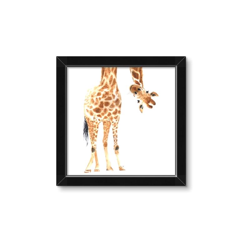 Picture of Bending over Giraffe _GroupedProduct_Square_Framed_Matted_