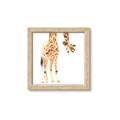 Picture of Bending over Giraffe _GroupedProduct_Square_Framed_Matted_