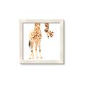 Picture of Bending over Giraffe _GroupedProduct_Square_Framed_Matted_