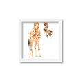 Picture of Bending over Giraffe _GroupedProduct_Square_Framed_Matted_