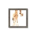 Picture of Bending over Giraffe _GroupedProduct_Square_Framed_Matted_