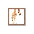 Picture of Bending over Giraffe _GroupedProduct_Square_Framed_Matted_