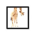 Picture of Bending over Giraffe _GroupedProduct_Square_Framed_Matted_