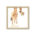 Picture of Bending over Giraffe _GroupedProduct_Square_Framed_Matted_