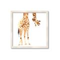 Picture of Bending over Giraffe _GroupedProduct_Square_Framed_Matted_