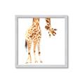 Picture of Bending over Giraffe _GroupedProduct_Square_Framed_Matted_