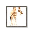 Picture of Bending over Giraffe _GroupedProduct_Square_Framed_Matted_
