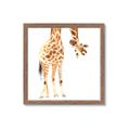 Picture of Bending over Giraffe _GroupedProduct_Square_Framed_Matted_