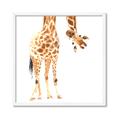 Picture of Bending over Giraffe _GroupedProduct_Square_Framed_Matted_