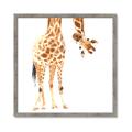 Picture of Bending over Giraffe _GroupedProduct_Square_Framed_Matted_