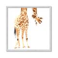 Picture of Bending over Giraffe _GroupedProduct_Square_Framed_Matted_