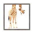 Picture of Bending over Giraffe _GroupedProduct_Square_Framed_Matted_