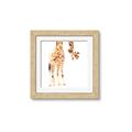 Picture of Bending over Giraffe _GroupedProduct_Square_Framed_Matted_