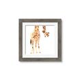 Picture of Bending over Giraffe _GroupedProduct_Square_Framed_Matted_