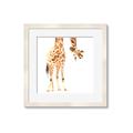 Picture of Bending over Giraffe _GroupedProduct_Square_Framed_Matted_