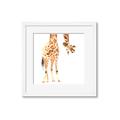 Picture of Bending over Giraffe _GroupedProduct_Square_Framed_Matted_