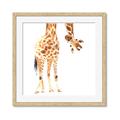 Picture of Bending over Giraffe _GroupedProduct_Square_Framed_Matted_