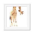 Picture of Bending over Giraffe _GroupedProduct_Square_Framed_Matted_