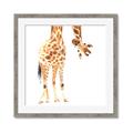 Picture of Bending over Giraffe _GroupedProduct_Square_Framed_Matted_