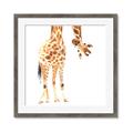 Picture of Bending over Giraffe _GroupedProduct_Square_Framed_Matted_