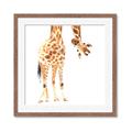 Picture of Bending over Giraffe _GroupedProduct_Square_Framed_Matted_