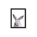Picture of Big Bunny _GroupedProduct_Rectangle_Portrait_Framed_Matted_